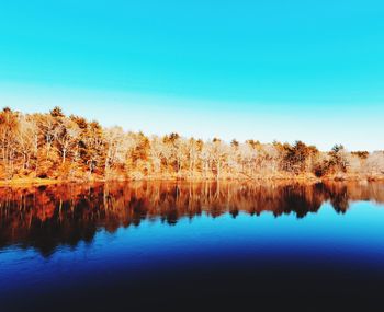 Reflection of trees in calm lake