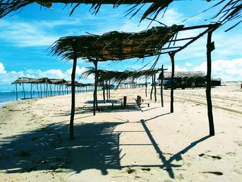 Trees on beach against sky