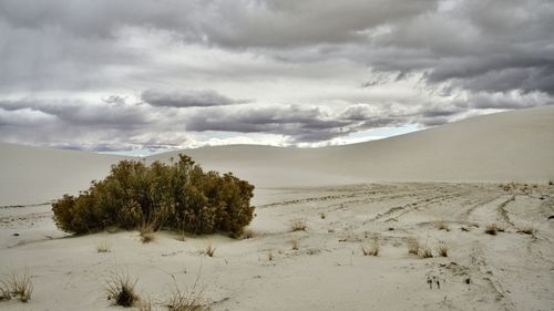 Scenic view of desert against sky