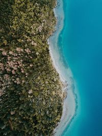 Drone view of beach