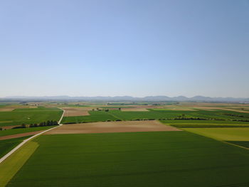 Scenic view of agricultural field against clear sky