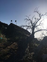 Low angle view of silhouette trees against clear sky