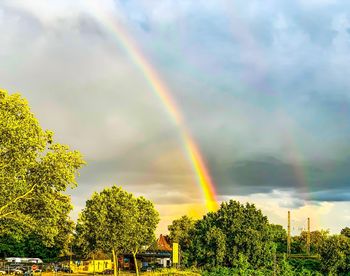 Rainbow over trees against sky