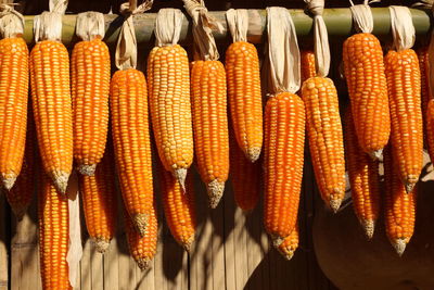 Ripe dried corn cobs hanging on the old wooden wagon