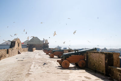 Birds in old building against sky