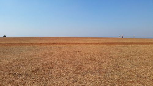 People walking on desert against clear blue sky during sunny day