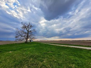 Scenic view of field against sky