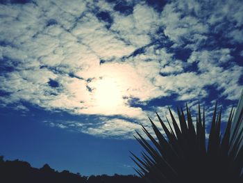 Low angle view of silhouette trees against sky