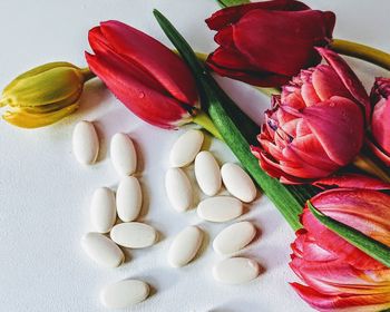 High angle view of multi colored tulips on table