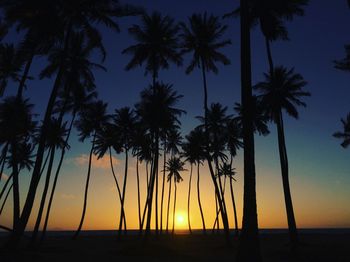 Silhouette palm trees on beach against sky at sunset