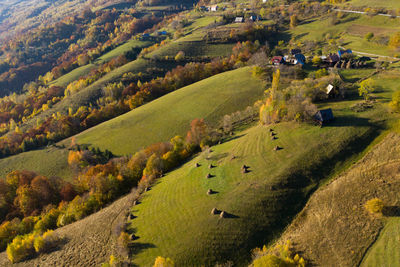 Aerial view of a small countryside homestead and colorful autumn forest. drone point of view