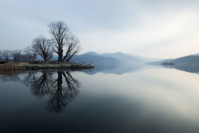 Scenic view of lake by trees against sky