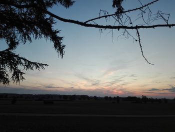 Silhouette trees on field against sky during sunset