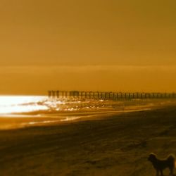 Scenic view of sea at sunset
