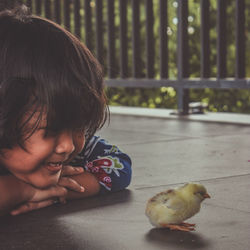 Portrait of cute boy looking at bird