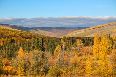 Scenic view of landscape against sky during autumn