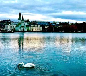 Swans swimming in lake against sky