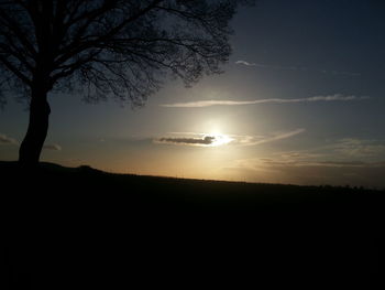 Silhouette trees against sky during sunset