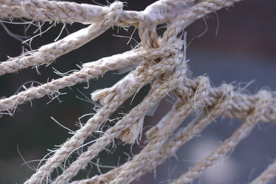 Close-up of tangled rope