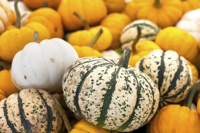 Close-up of pumpkins for sale at market stall