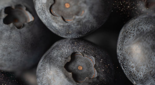 Close up of fresh blueberries macro background