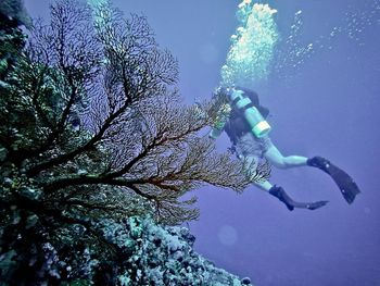 Rear view of man scuba diving undersea