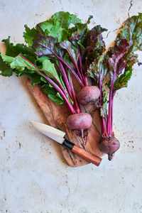 High angle view of vegetables on table