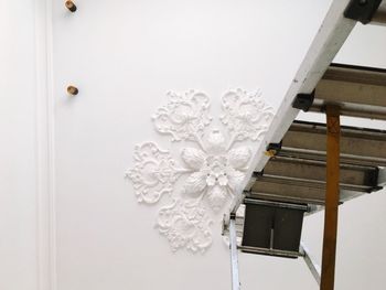 Close-up of white rose on wooden door