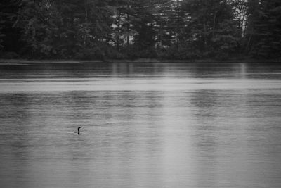 Scenic view of lake