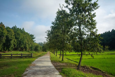 Footpath amidst trees on field against sky