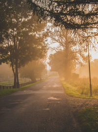 Empty road in park