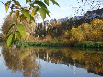 Reflection of trees in lake against sky