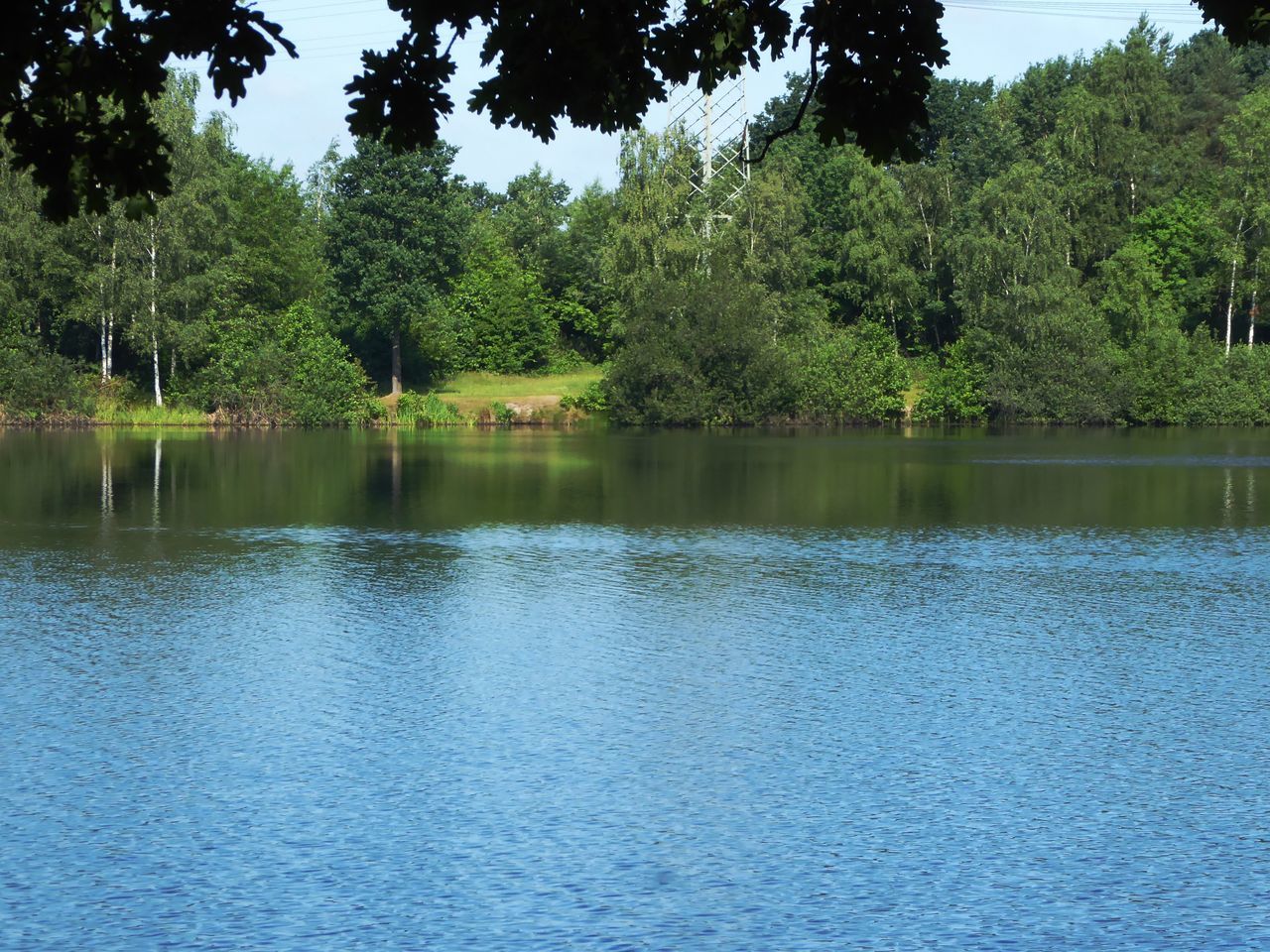 REFLECTION OF TREES IN LAKE