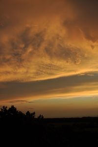 Silhouette trees against sky during sunset