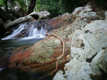 View of waterfall in forest