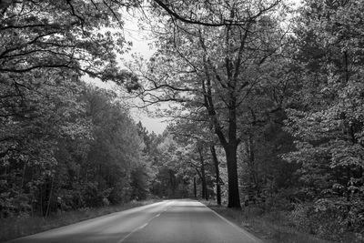 Empty road amidst trees in forest