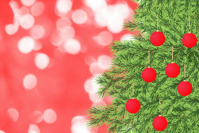 Close-up of christmas tree