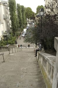 People on walkway by trees against sky