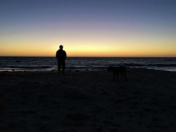 Silhouette man with dog walking on beach against sky during sunset