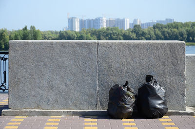 Rear view of man sitting on retaining wall against buildings in city