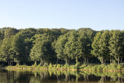 Scenic view of lake in forest against clear sky