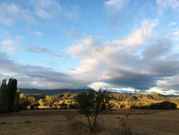 Scenic view of field against sky