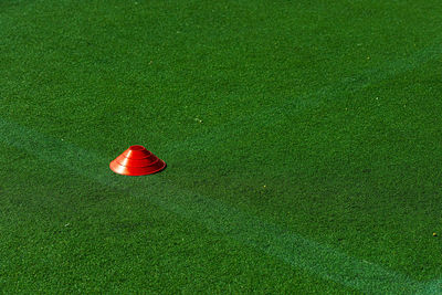 High angle view of red ball on field