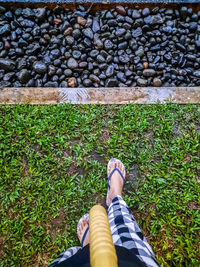 Low section of woman wearing flip flop on grasses