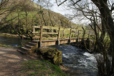 River passing through forest