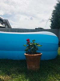 Potted plant on field by water against sky