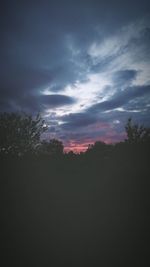 Silhouette trees on landscape against sky at sunset