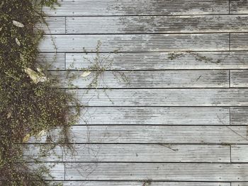 Full frame shot of wooden fence