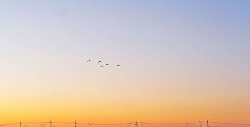 Low angle view of silhouette birds flying against clear sky