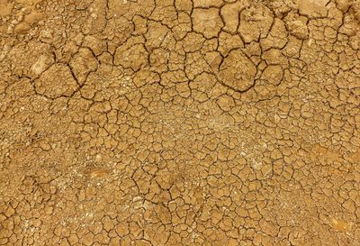 Full frame shot of cracked landscape at loch ard gorge